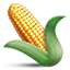 🌽